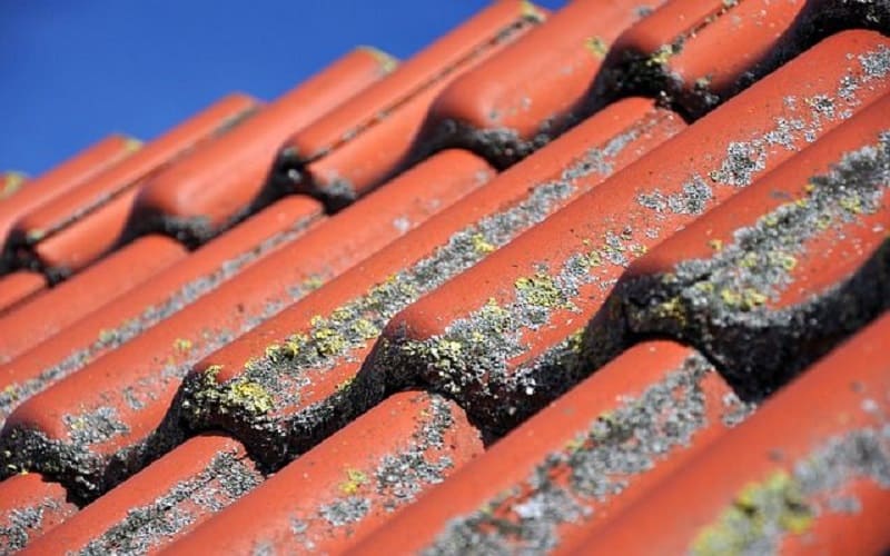 por que investir na manutenção e limpeza de telhados