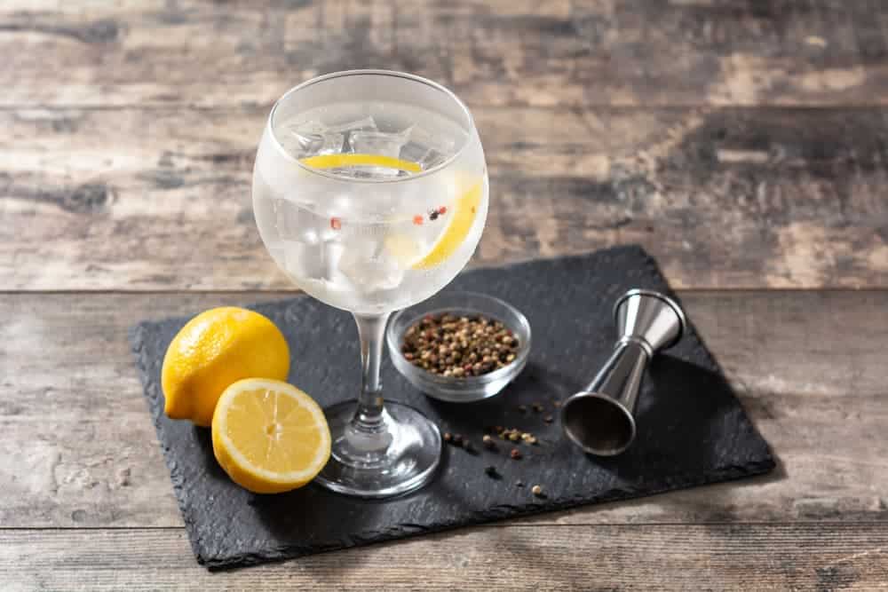Gin tonic cocktail drink