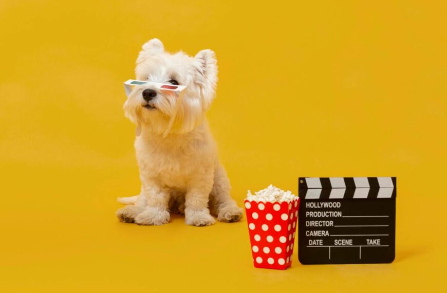 Os melhores filme de cachorro